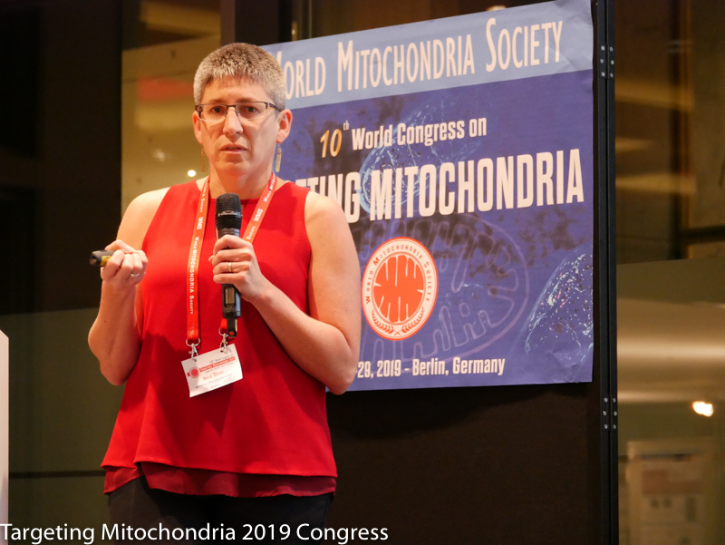 Mitochondria 2019-D2 335