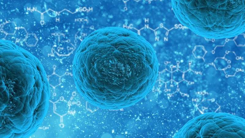 Mitochondrial enzyme found to block cell death pathway points to new cancer treatment strategy