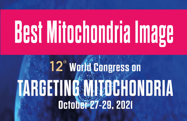 Vote for the Best Mitochondria Image 2021