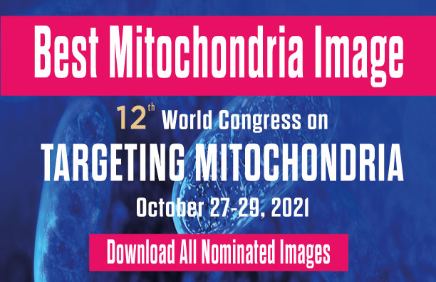 Best-Mitochondria-Image-website-v3