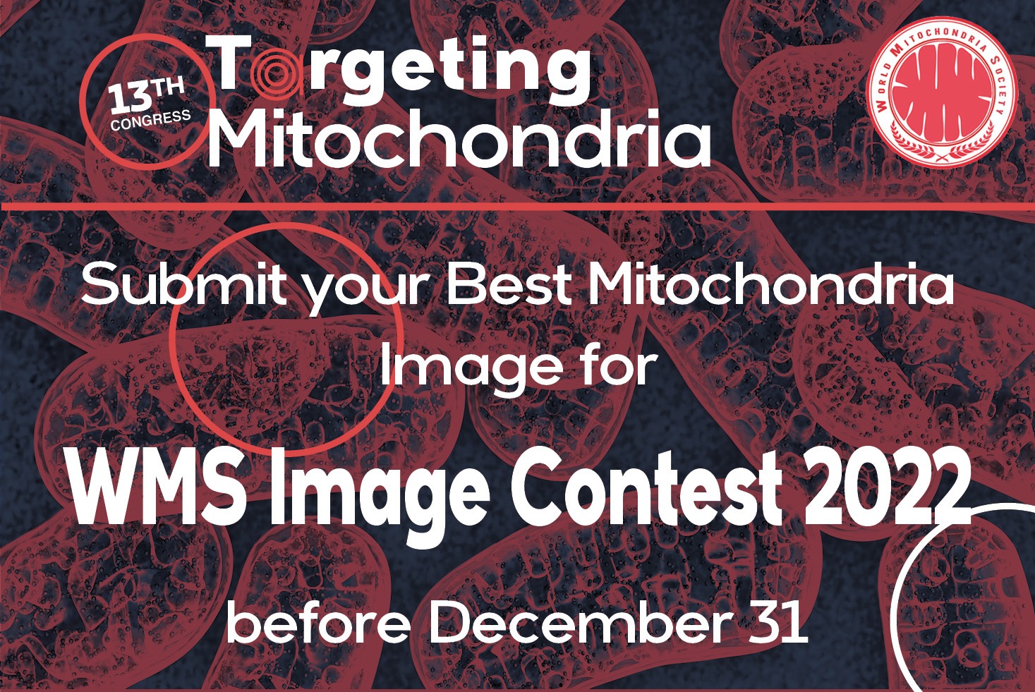 Nominations for The Best Mitochondria Image 2022