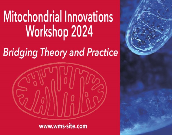 Mitochondrial Innovations Workshop: Bridging Theory and Practice