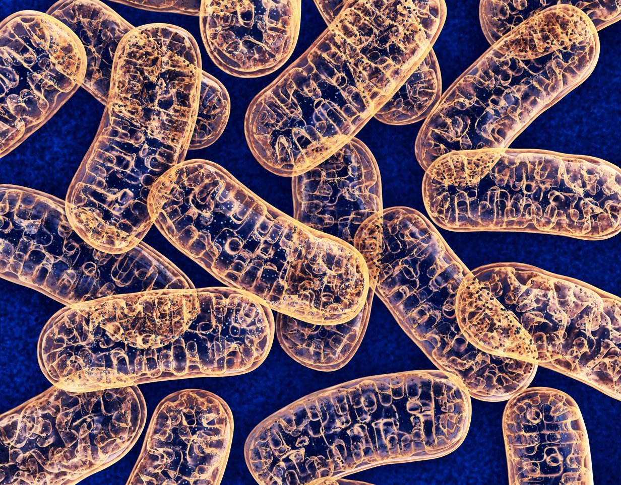 New Outstanding Study Linking Post-Covid to Mitochondrial Damage