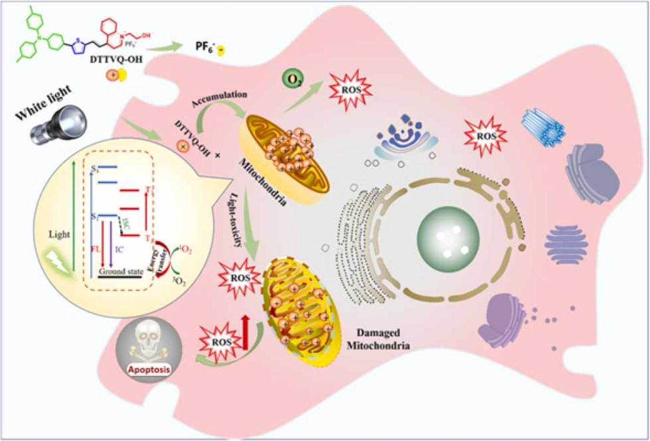 Mitochondria Targeted Near-Infrared  Aggregation-Induced Emission for Photodynamic Ablation of Liver Cancer Cells 1