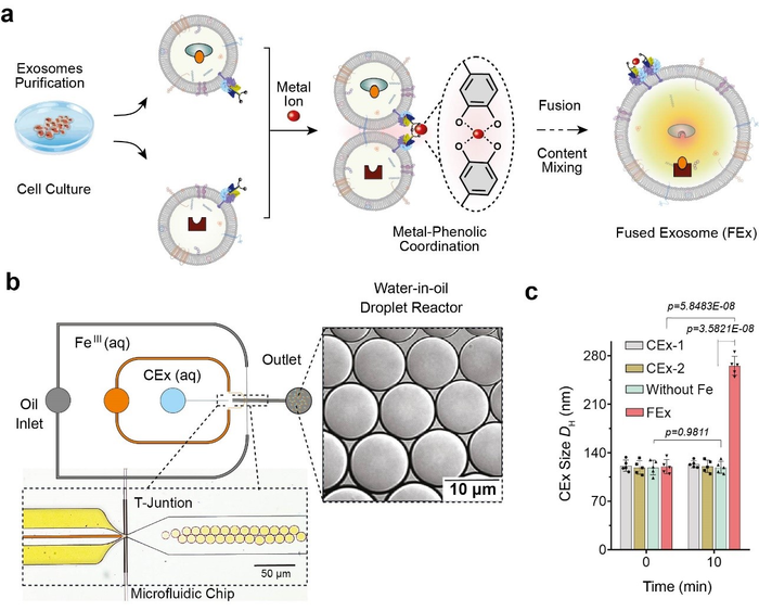 Scientists-explore-the-creation-of-artificial-organelles