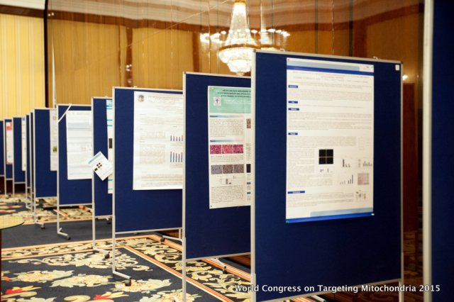 Targeting Mitochondria 2015 Conference Photos