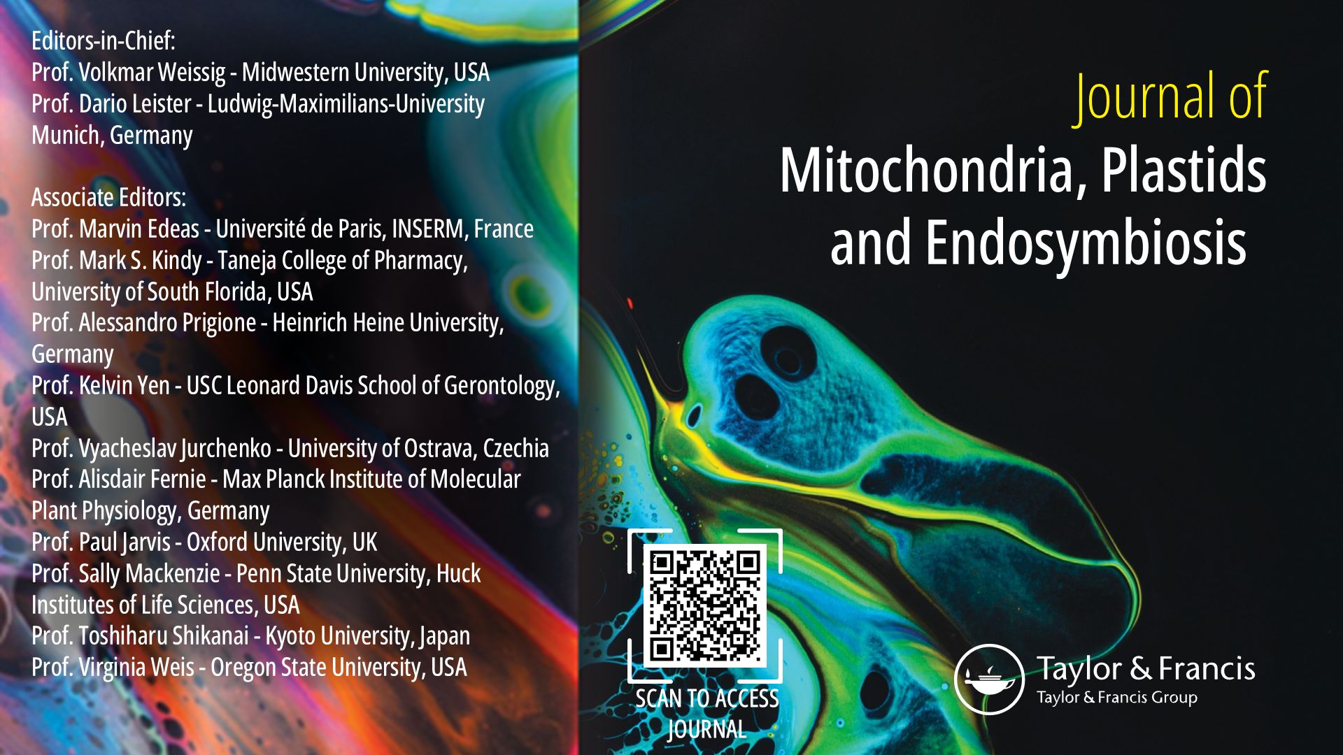 Abstracts of Targeting Mitochondria 2024 are Published in the &quot;Journal of Mitochondria, Plastids and Endosymbiosis&quot;