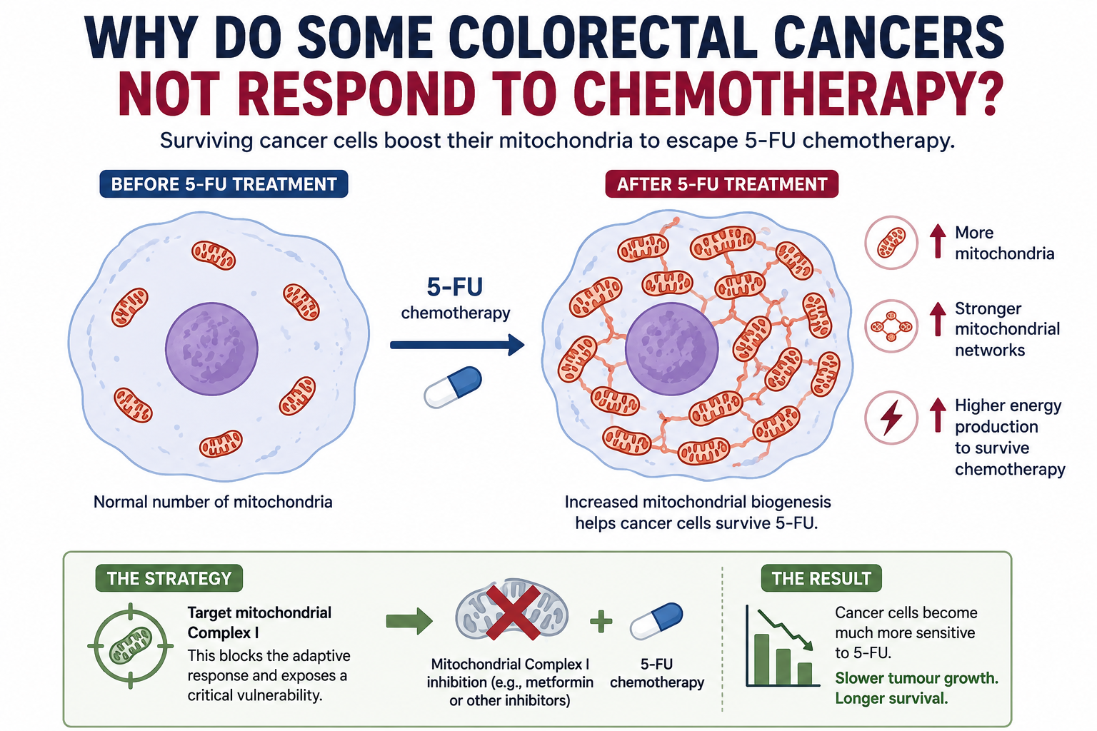 Can Cancer Cells Use Mitochondria to Escape Chemotherapy