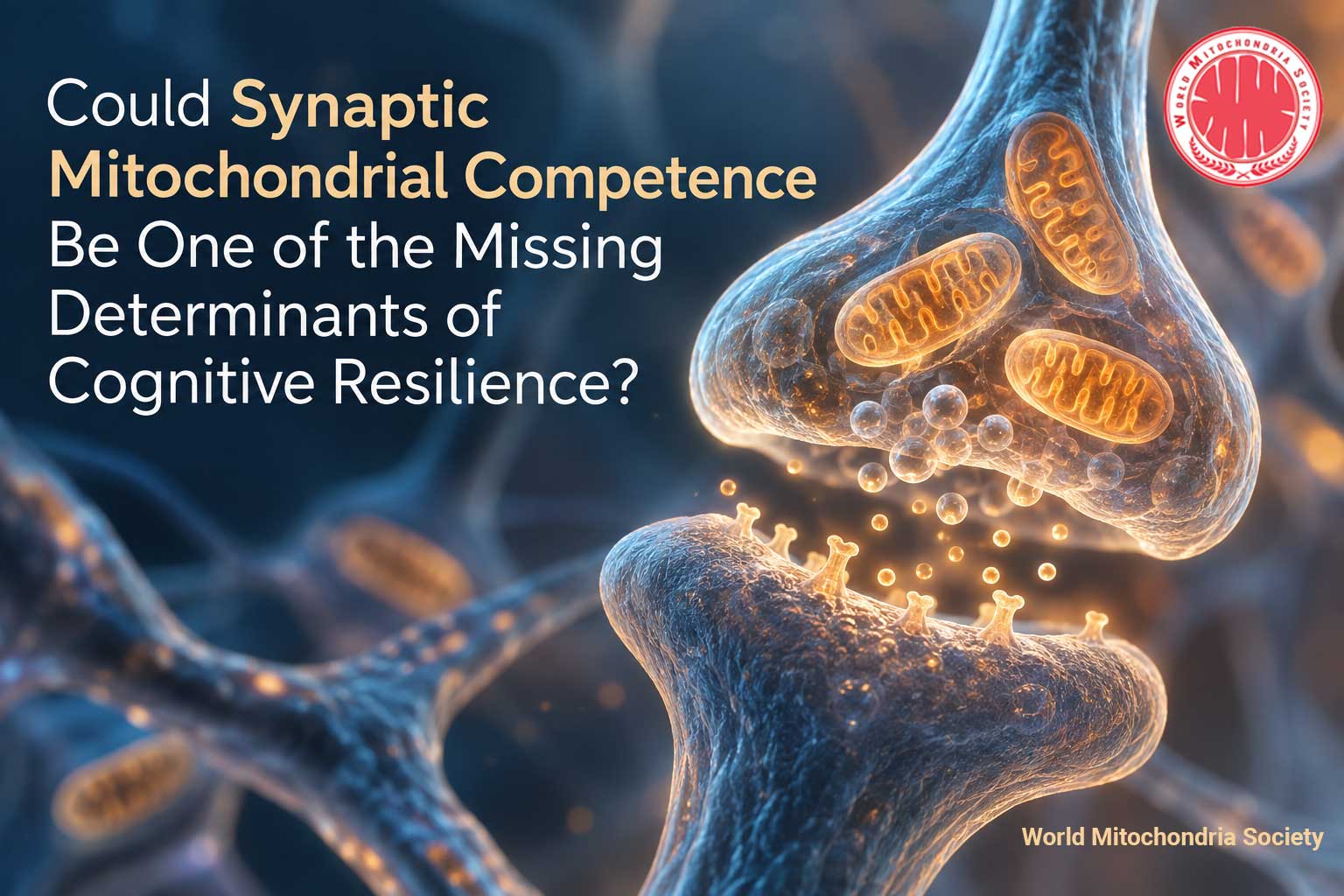 Could-Synaptic-Mitochondrial-Competence-Be-One-of-the-Missing-Determinants-of-Cognitive-Resilience