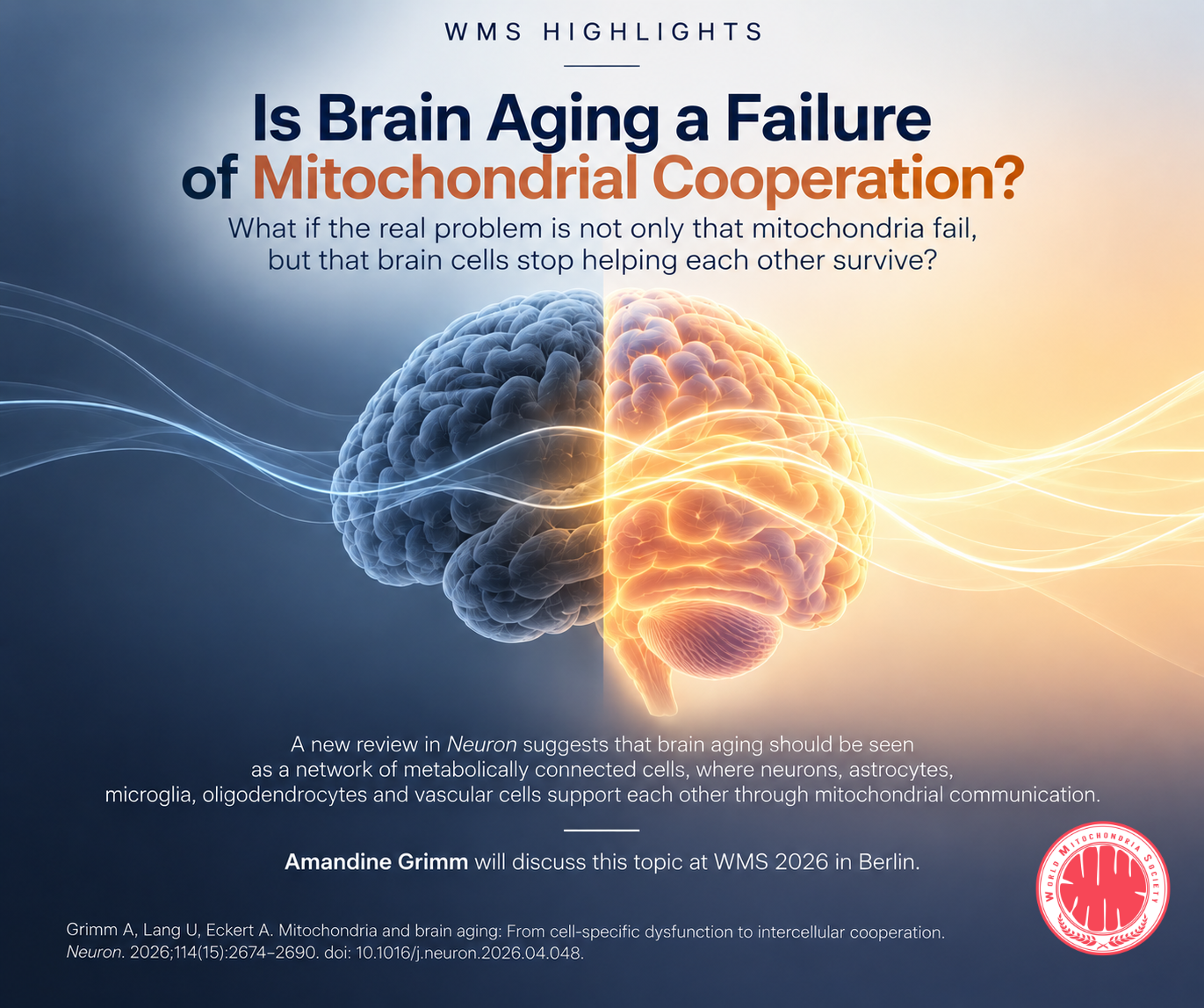 Is Brain Aging a Failure of Mitochondrial Cooperation