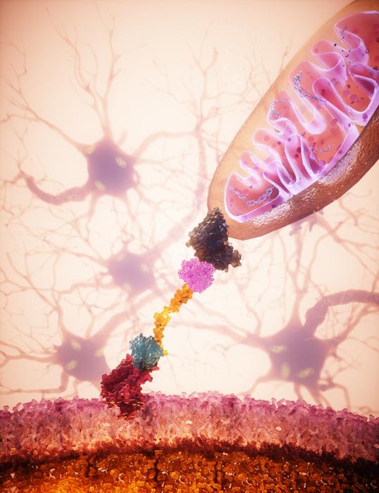 Low-Res 2026 Nature Cover 2