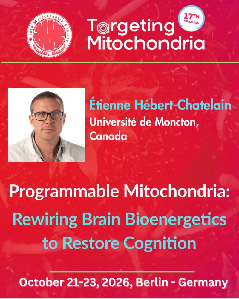 Memory and Mitochondria: Are We Entering the Era of Programmable Brain Energy? T