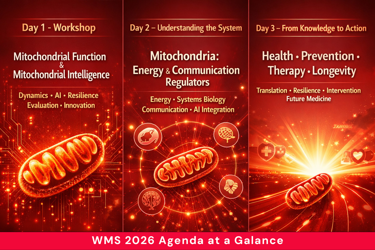 wms-agenda-at-galance