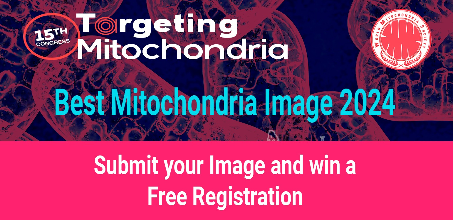 Best Mitochondria Image 2024