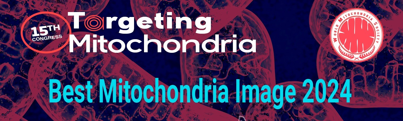 Nominations for Best Mitochondria Image 2024