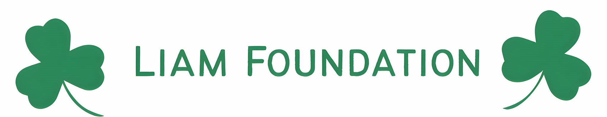 LIAM FOUNDATION LOGO 2