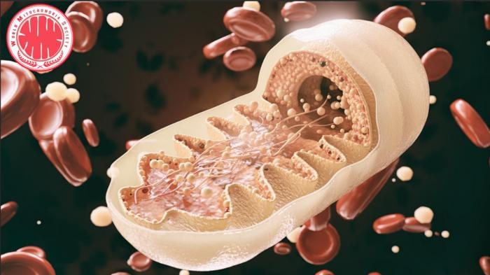 Pseudomonas Bacteria Disrupt Mitochondrial Energy Production to Evade Immunity