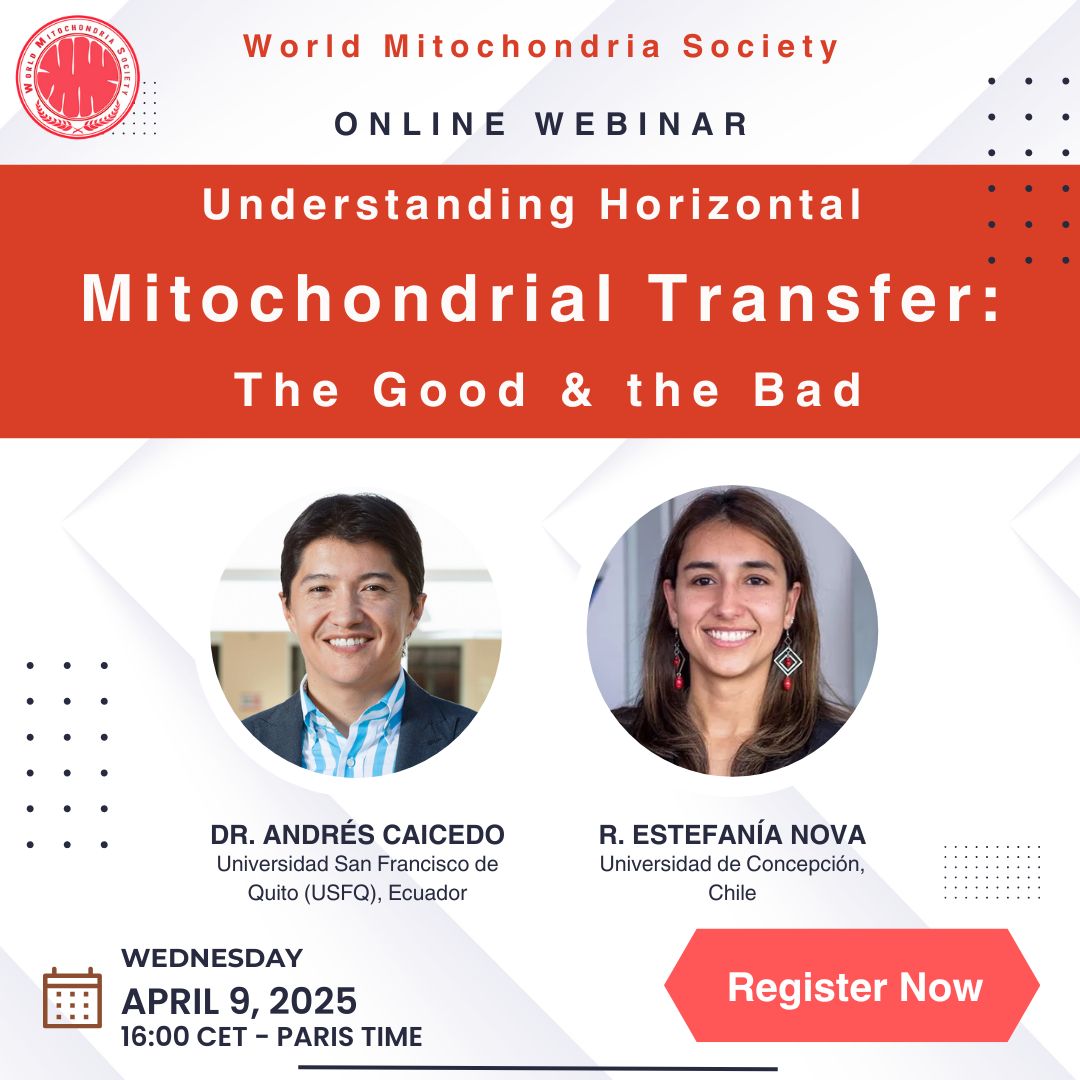 Understanding Horizontal Mitochondrial Transfer: The Good and the Bad