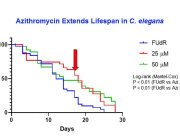 Mitochondrial Inhibitors Extend Lifespan in C. elegans: Insights from a Longevity Study