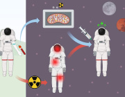 NASA’s MitoMars Project Explores Mitochondria Replacement Therapy for Deep Space Missions