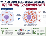 Can Cancer Cells Use Mitochondria to Escape Chemotherapy?